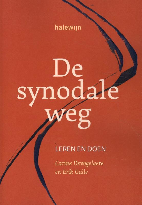 Omslag van boek: De synodale weg