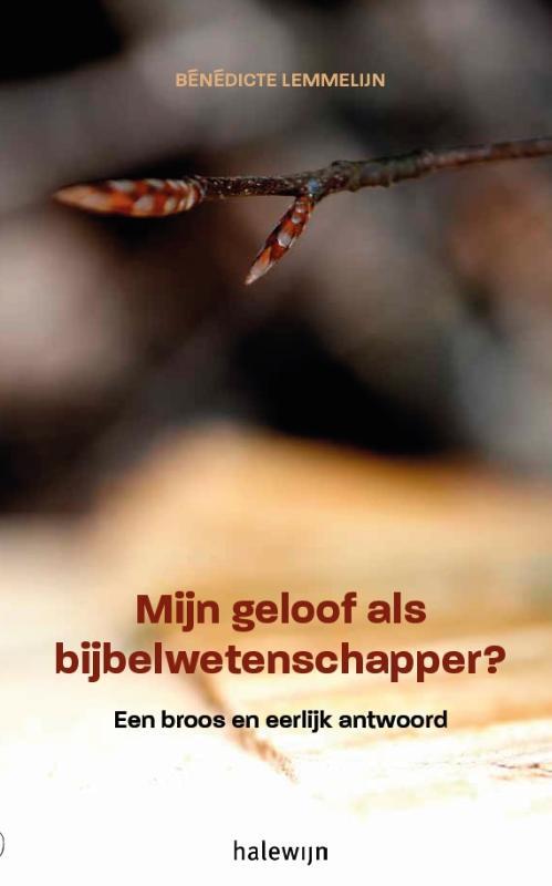 Omslag van boek: Mijn geloof als Bijbelwetenschapper?