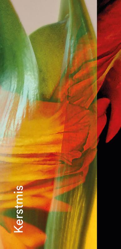 Omslag van boek: Gebedskaart Kerstmis 2026 PAKKET 25 ex