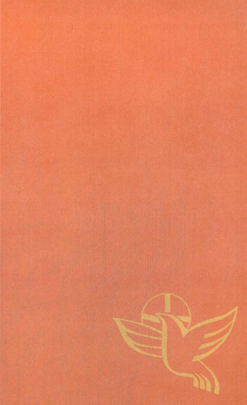 Omslag van boek: Orde van dienst voor de vormselliturgie